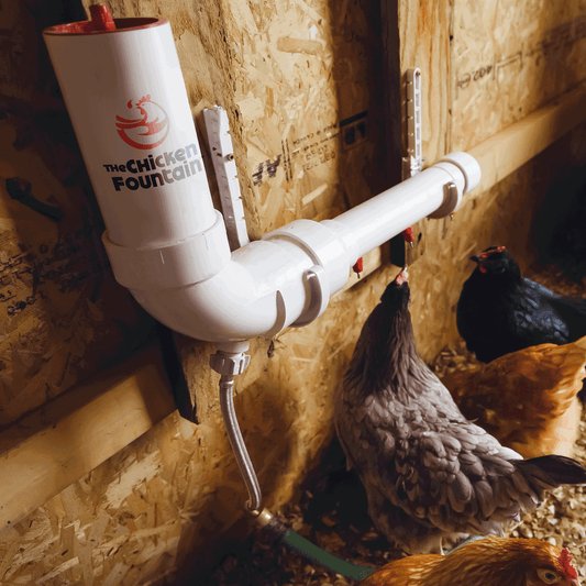 What's a chicken waterer?